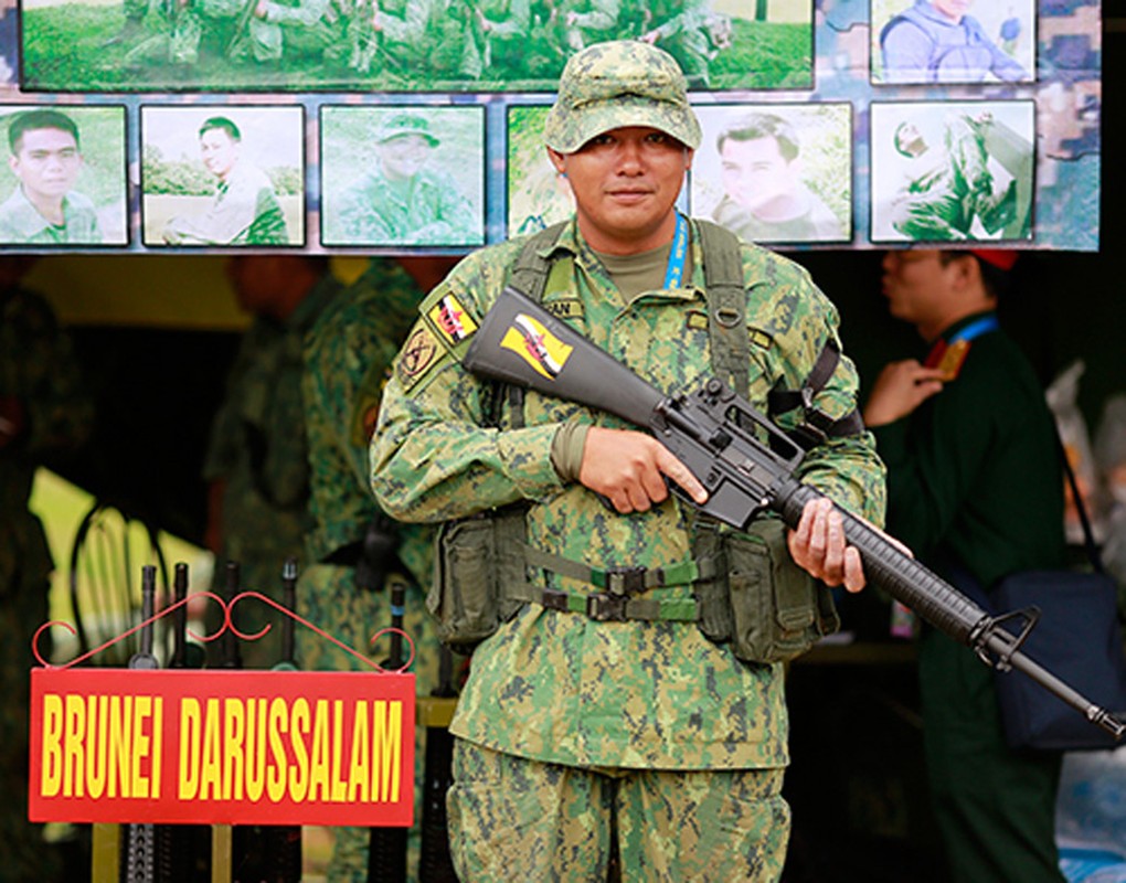 Kham pha cac loai sung o AARM-24 (2): sung truong M16-Hinh-6