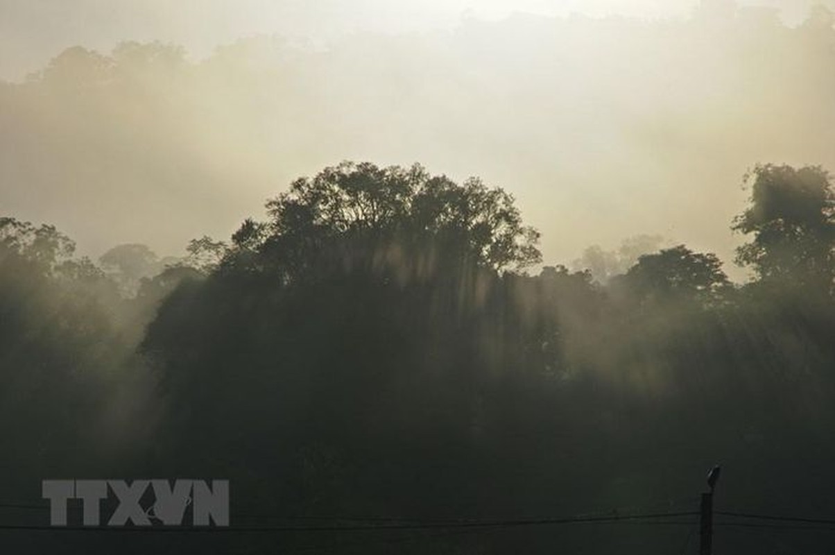 He lo bau vat troi ban trong Khu du tru sinh quyen Kon Ha Nung-Hinh-9