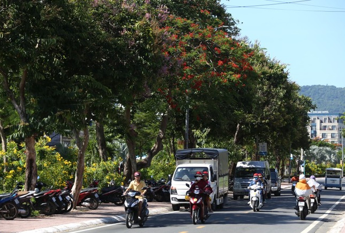 Sac xanh tuoi dep tren 'dao ngoc' Con Dao-Hinh-3