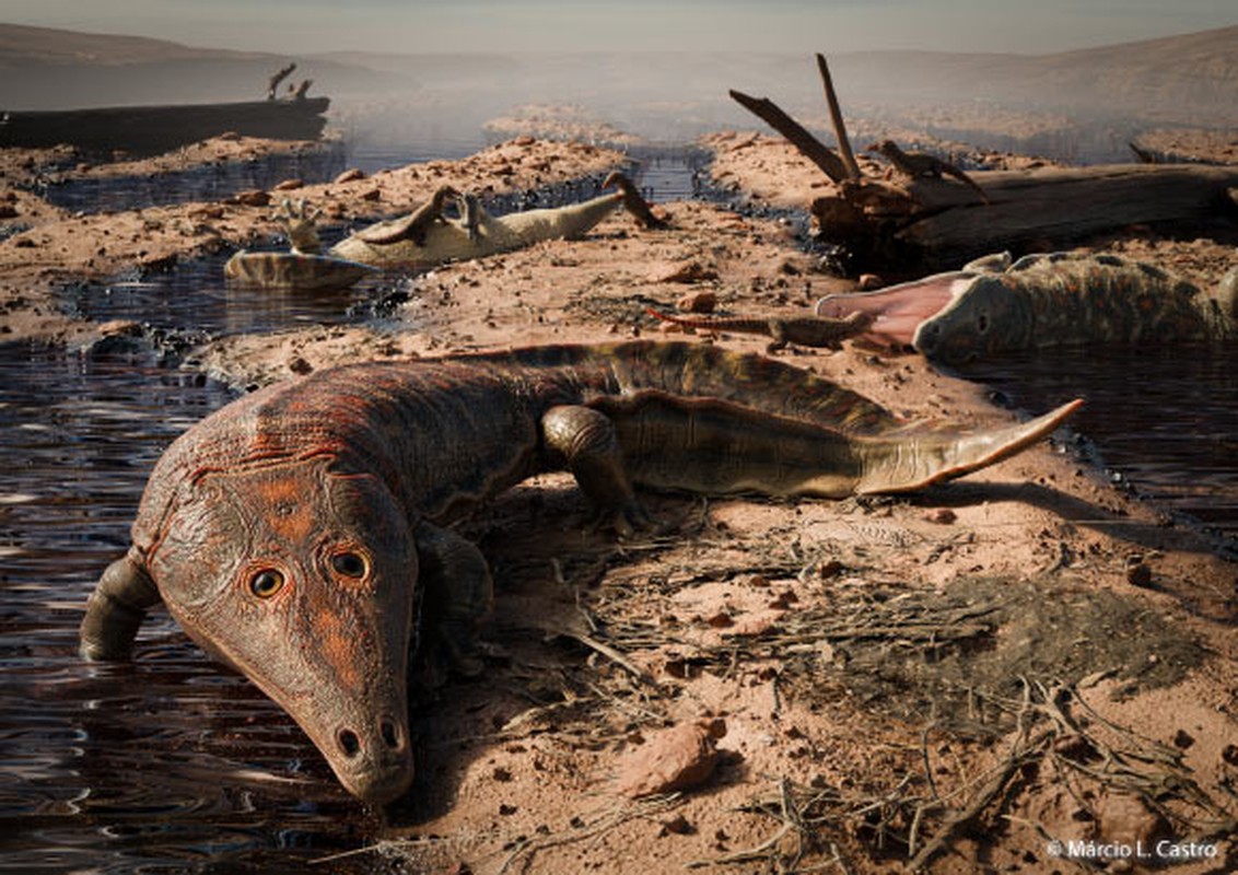 View - 	Lộ diện cá sấu quái vật 200 triệu năm hệt khủng long Jura