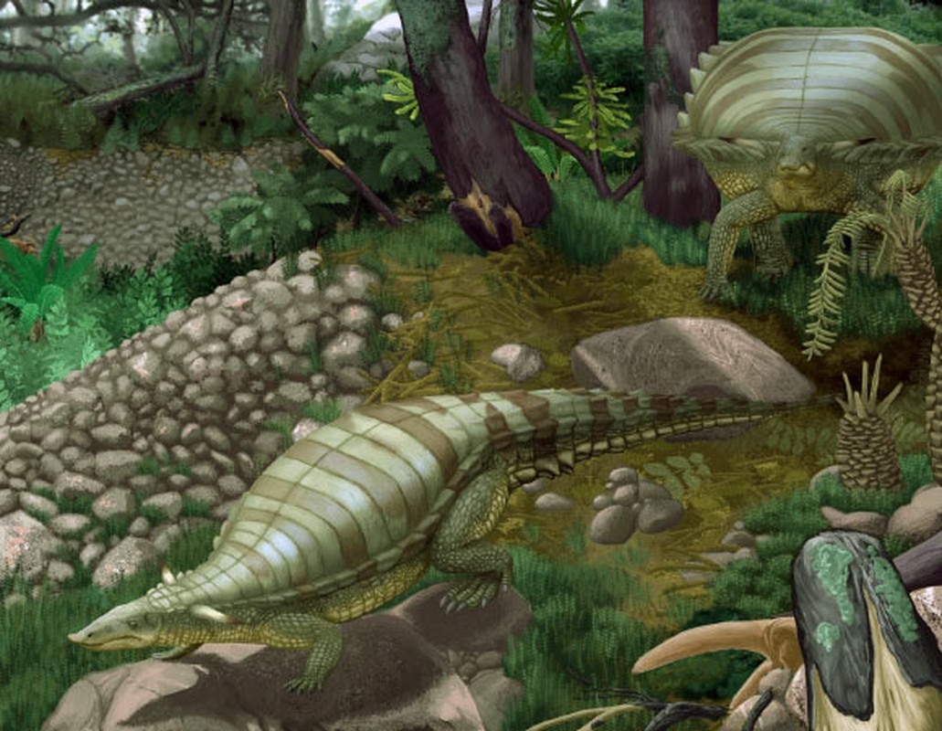 View - 	Lộ diện cá sấu quái vật 200 triệu năm hệt khủng long Jura