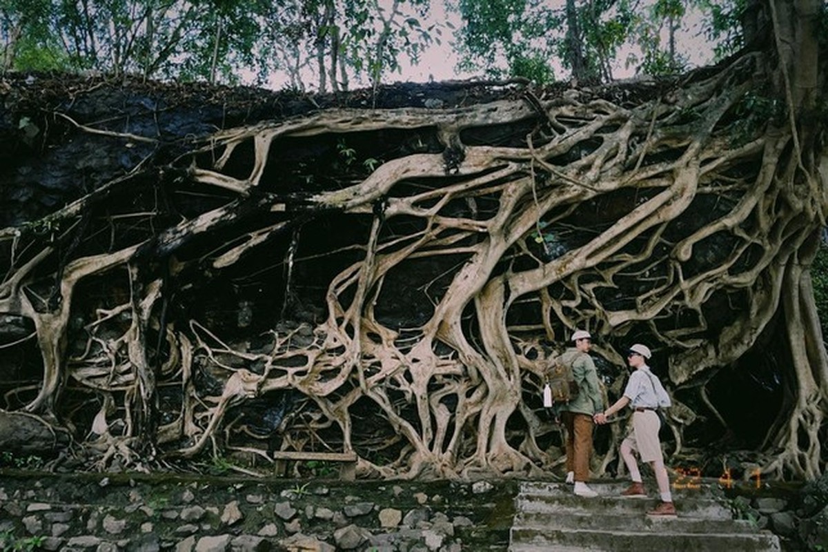 Doi tre di phuot xuyen Viet bang xe may-Hinh-8