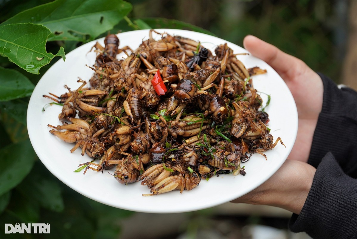 Tuyet chieu do nuoc san dac san moi vu “mua vui kiem tien“-Hinh-11