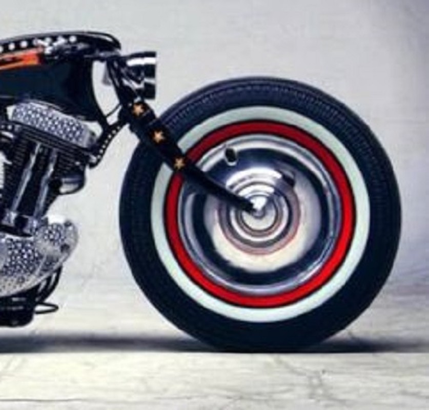 Mo to Harley Davidson Sportster do hang khung, doc nhat the gioi-Hinh-6