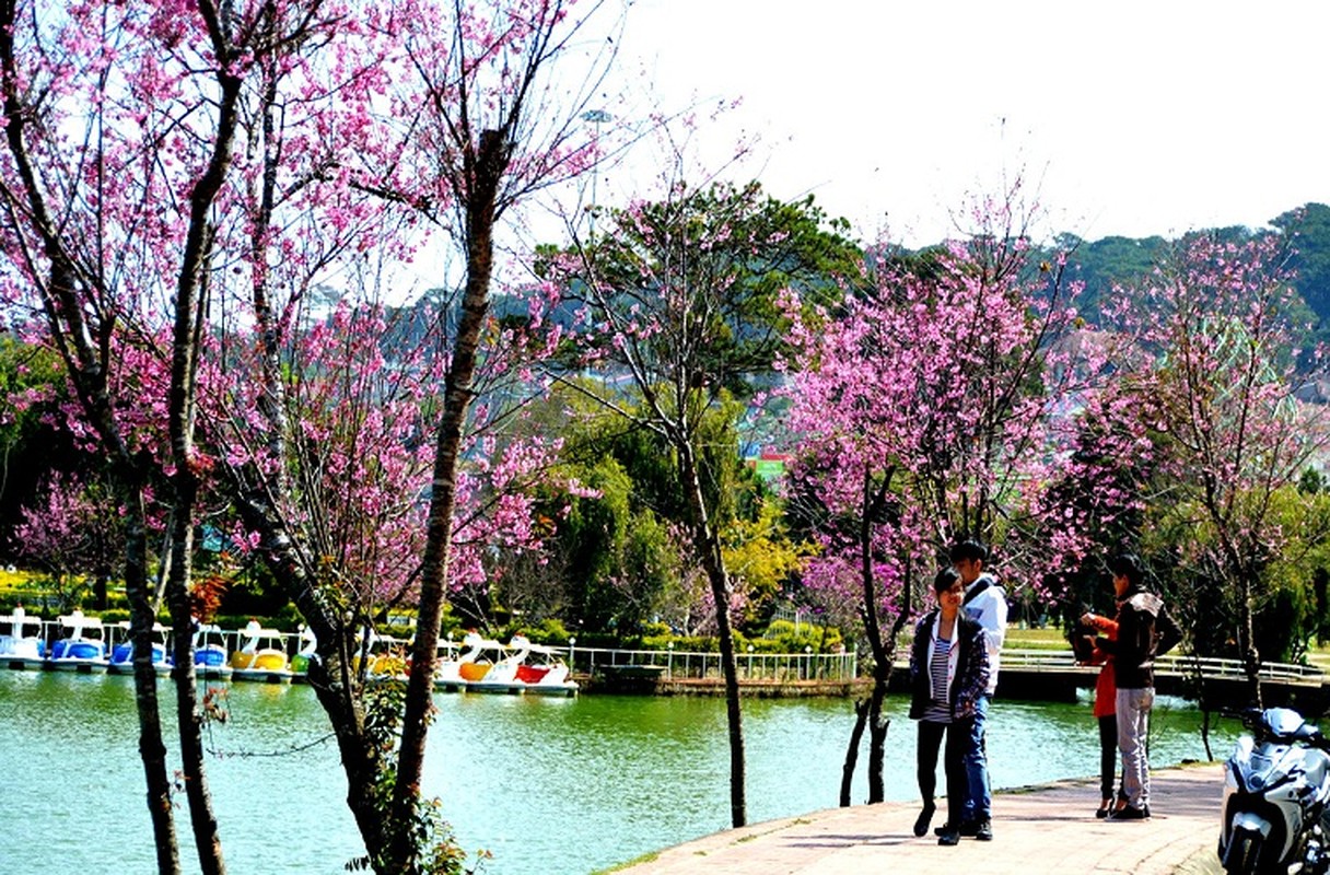 Da Lat dep hon phim nho mai anh dao