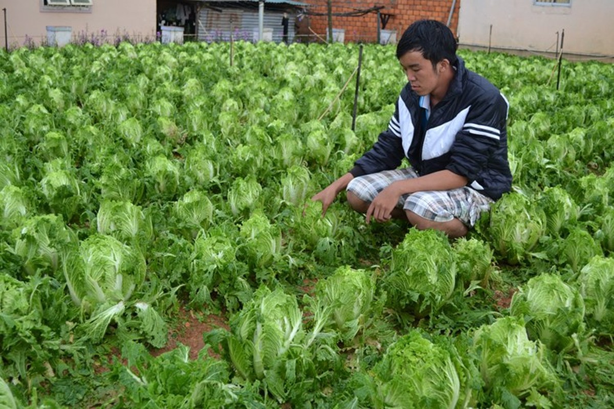 Mua da tai Da Lat kinh hoang ve do tan pha khung khiep-Hinh-5