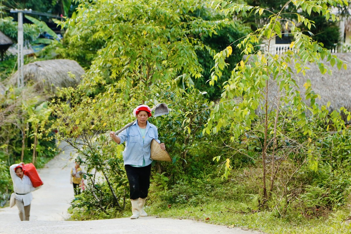 Nhung mai nha biet 'bien hinh' o Ha Giang-Hinh-7