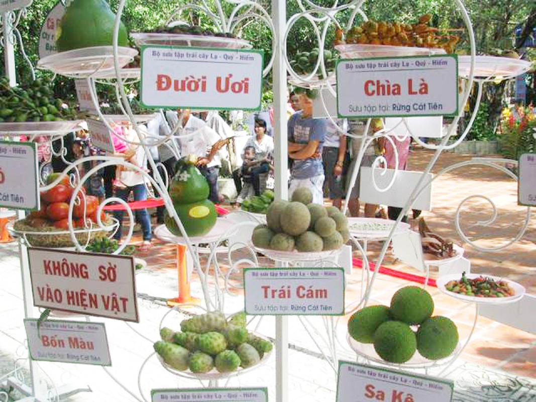 Le hoi trai cay Nam bo noi quy tu nhung loai trai cay khung-Hinh-9