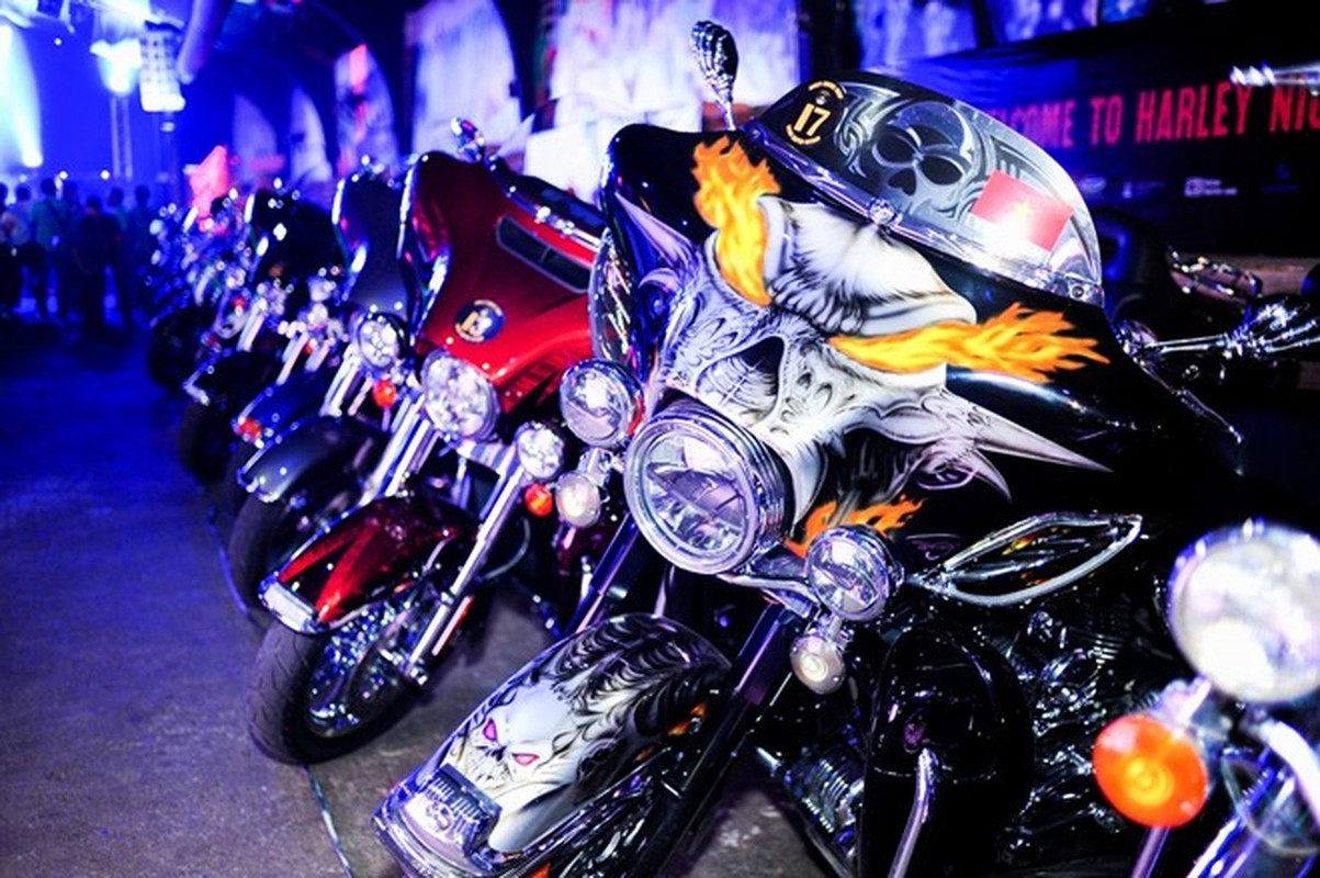60 moto Harley-Davidson dieu hanh ram ro o Sai Gon-Hinh-5