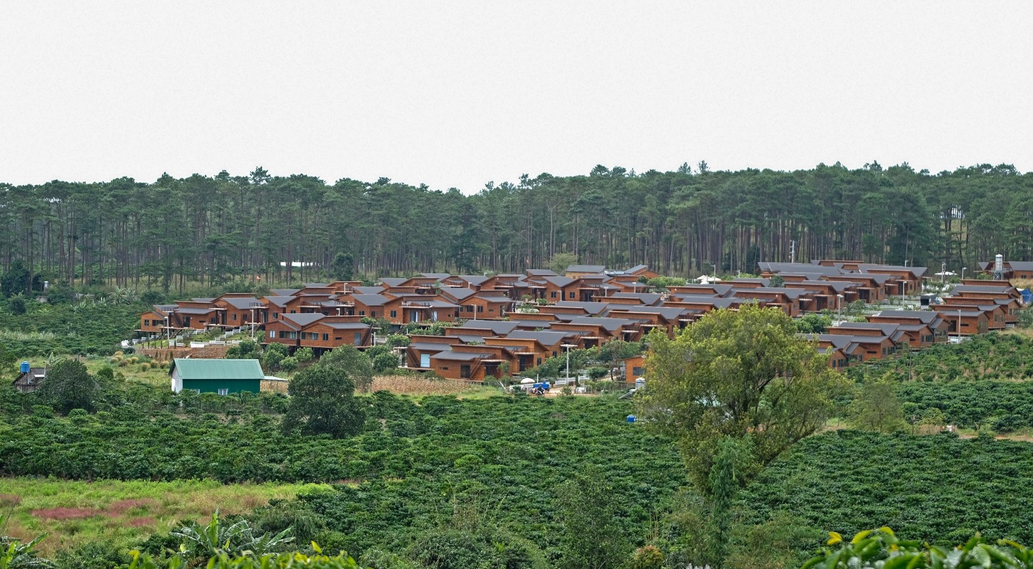 Du an bat dong san giua rung o Bao Lam bi dieu tra sai pham-Hinh-9