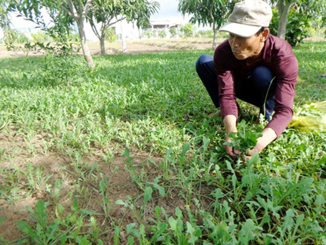 “Loc troi” xua vut di, nay dem ve trong khong can cham van co tien trieu-Hinh-4