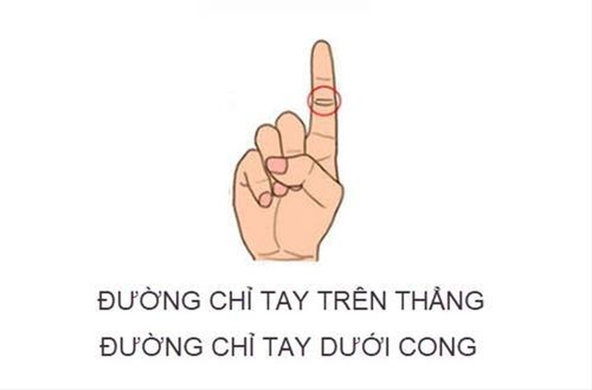 Duong chi tay ngon tro tiet lo menh 