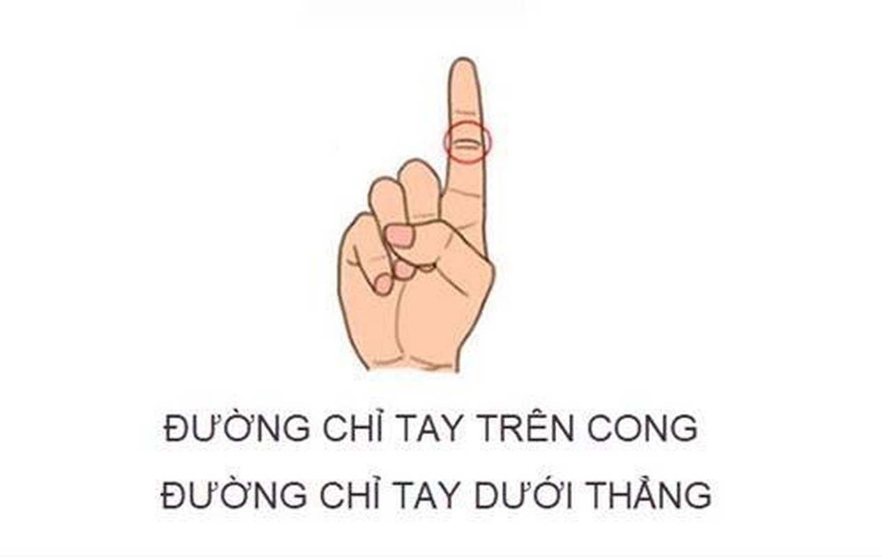 Duong chi tay ngon tro tiet lo menh 