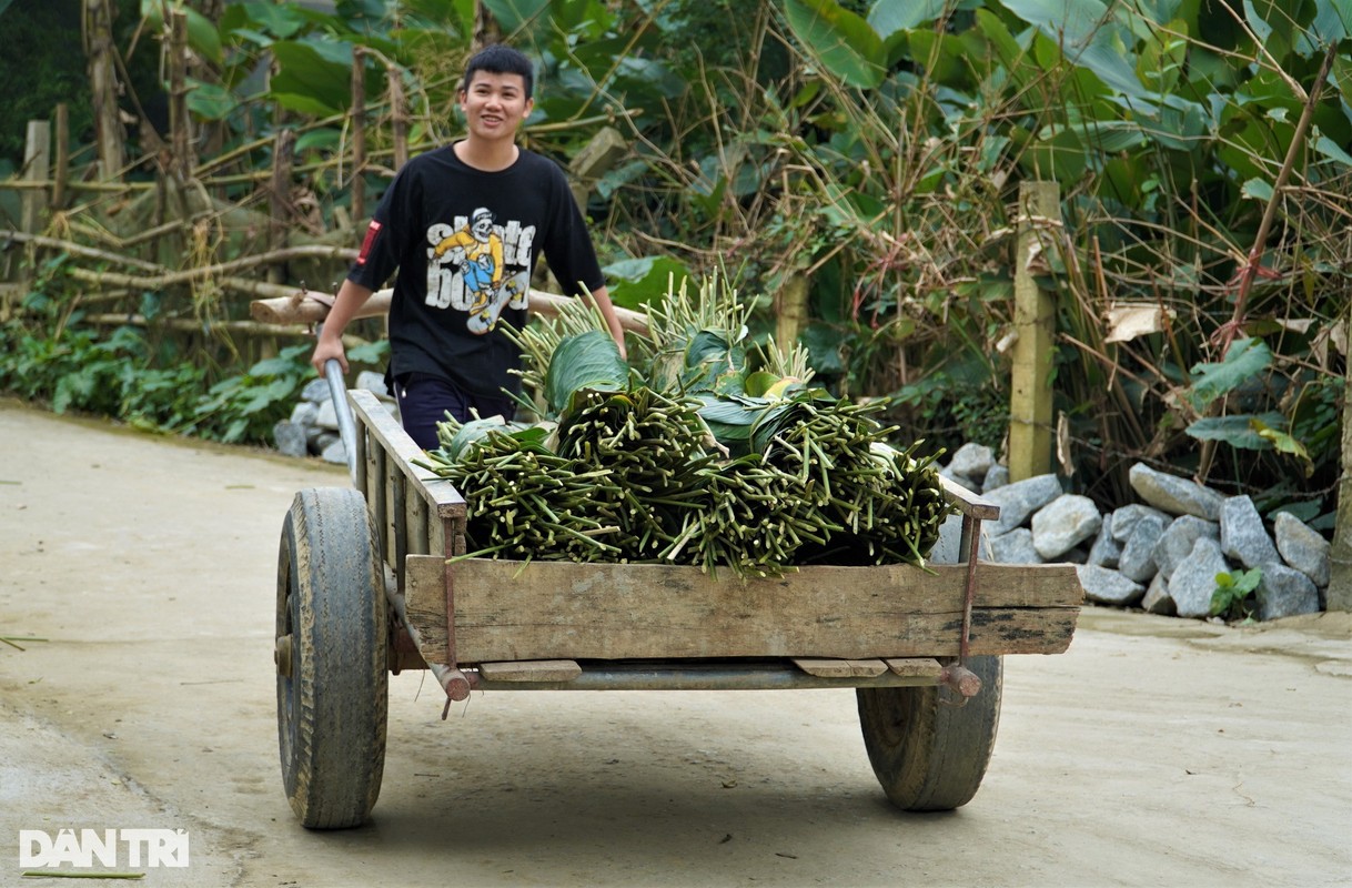 Hai ra tien voi loai la lam nen linh hon Tet Viet-Hinh-8