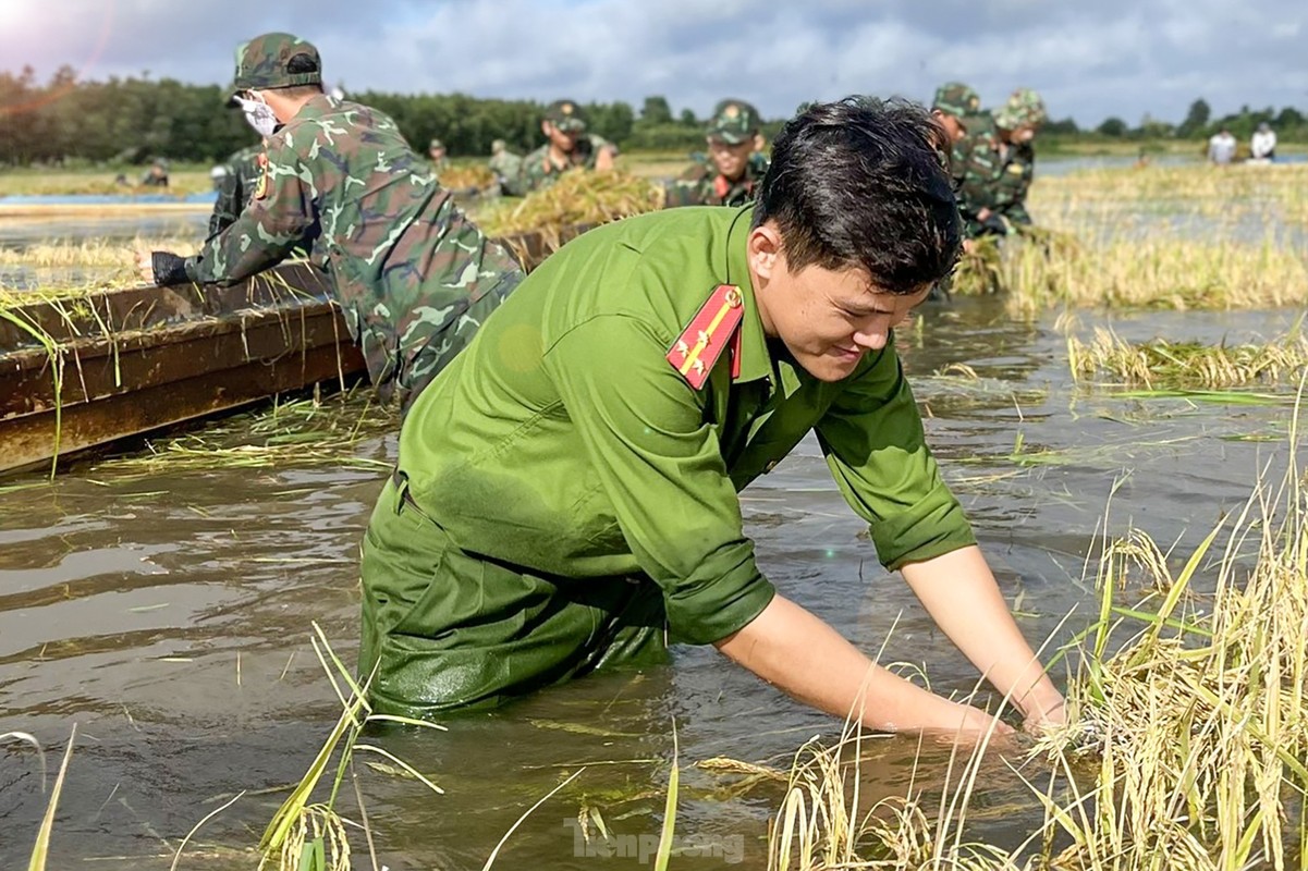 Hinh anh chien si ngam minh trong nuoc giup dan cuu lua