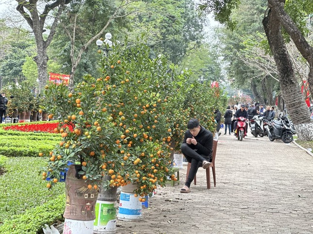 29 Tet: Tieu thuong ngu gat, dao quat e chong cho-Hinh-6