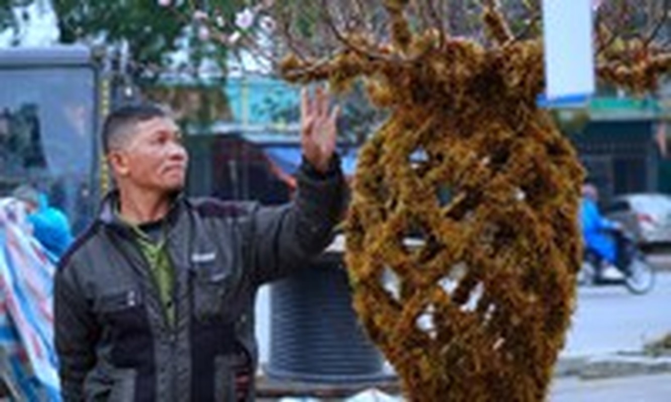 View - 	Du khách thích thú check in thảm rêu độc đáo ở Quy Nhơn 