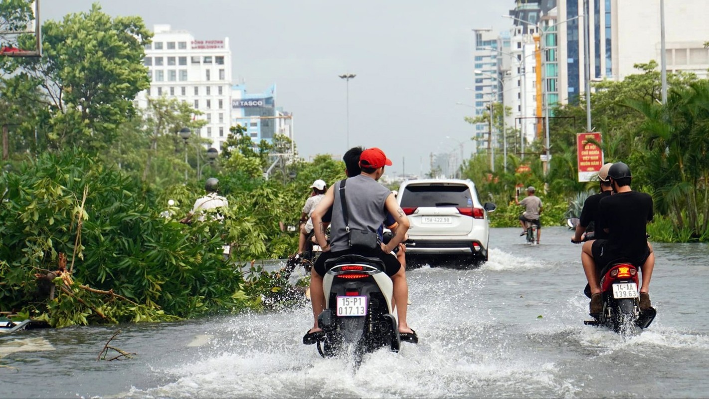 Hai Phong: Nhieu pho trung tam ngap sau, cay xanh do la liet-Hinh-5