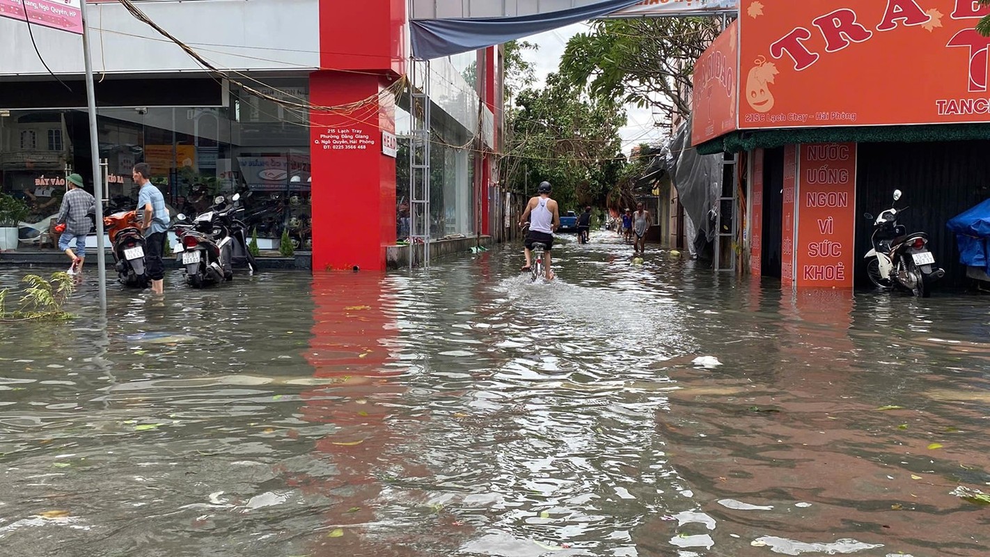 Hai Phong: Nhieu pho trung tam ngap sau, cay xanh do la liet-Hinh-6