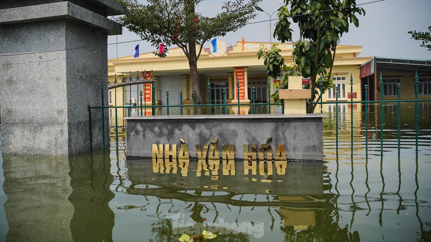 Hang tram ngoi nha o My Duc ngap sau, cuoc song nguoi dan dao lon-Hinh-15