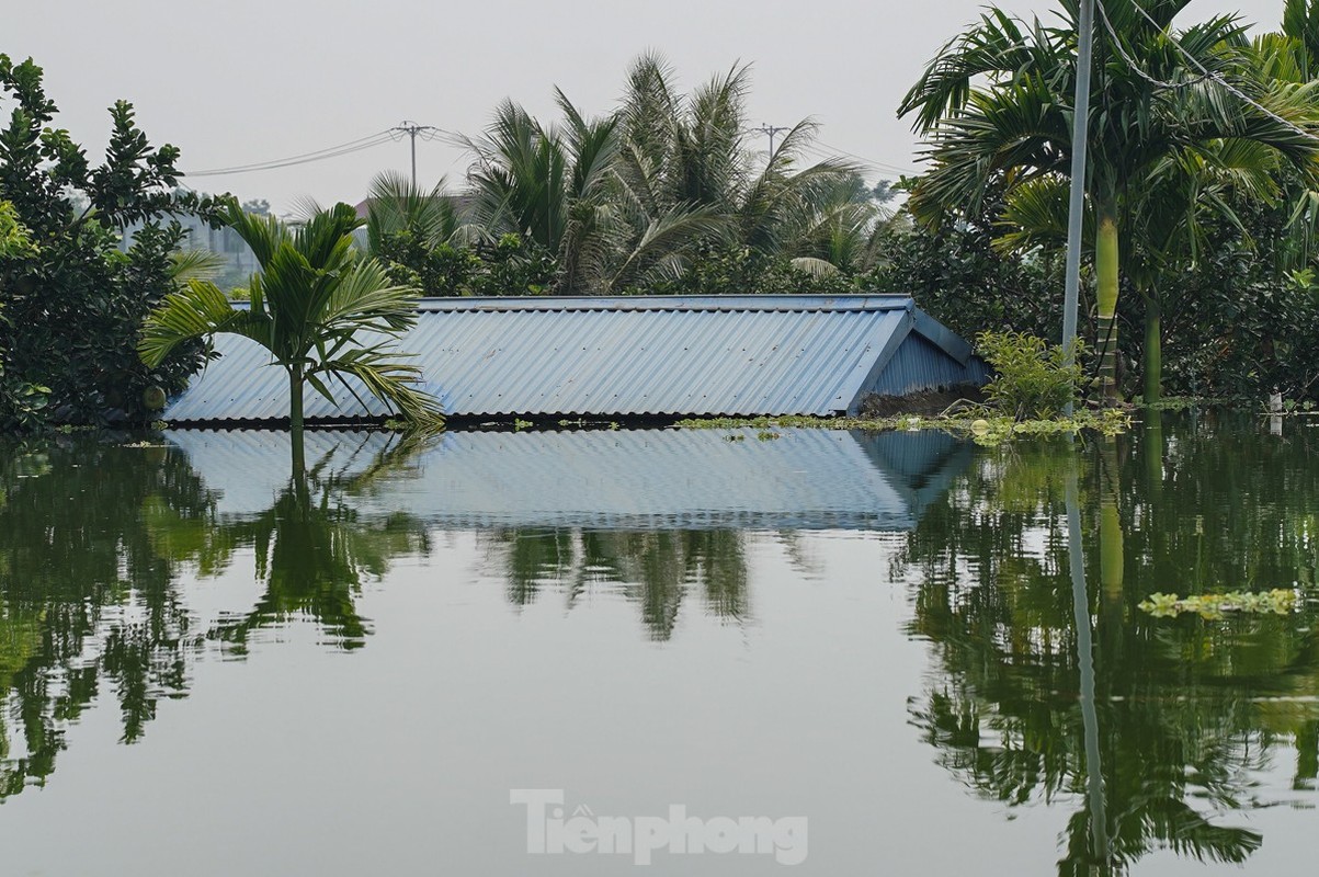 View - 	Hàng trăm ngôi nhà ở Mỹ Đức ngập sâu cuộc sống người dân đảo lộn