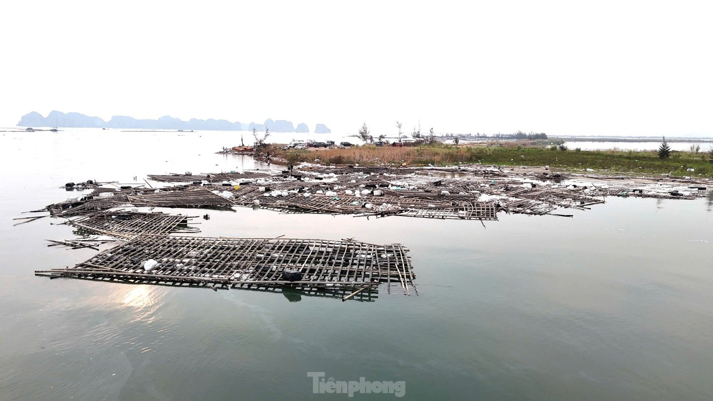 View - 	Lồng bè tan hoang sau bão Hạ Long đối mặt với sự cố môi trường