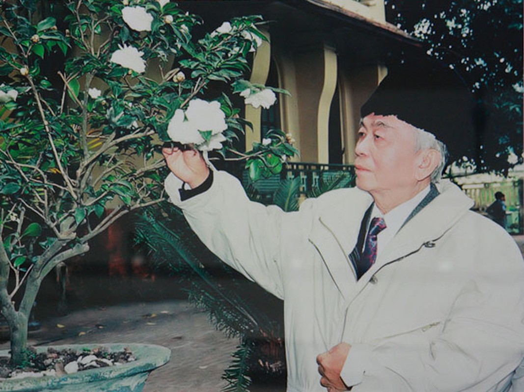 Anh xuc dong ve doi thuong cua Dai tuong Vo Nguyen Giap-Hinh-3