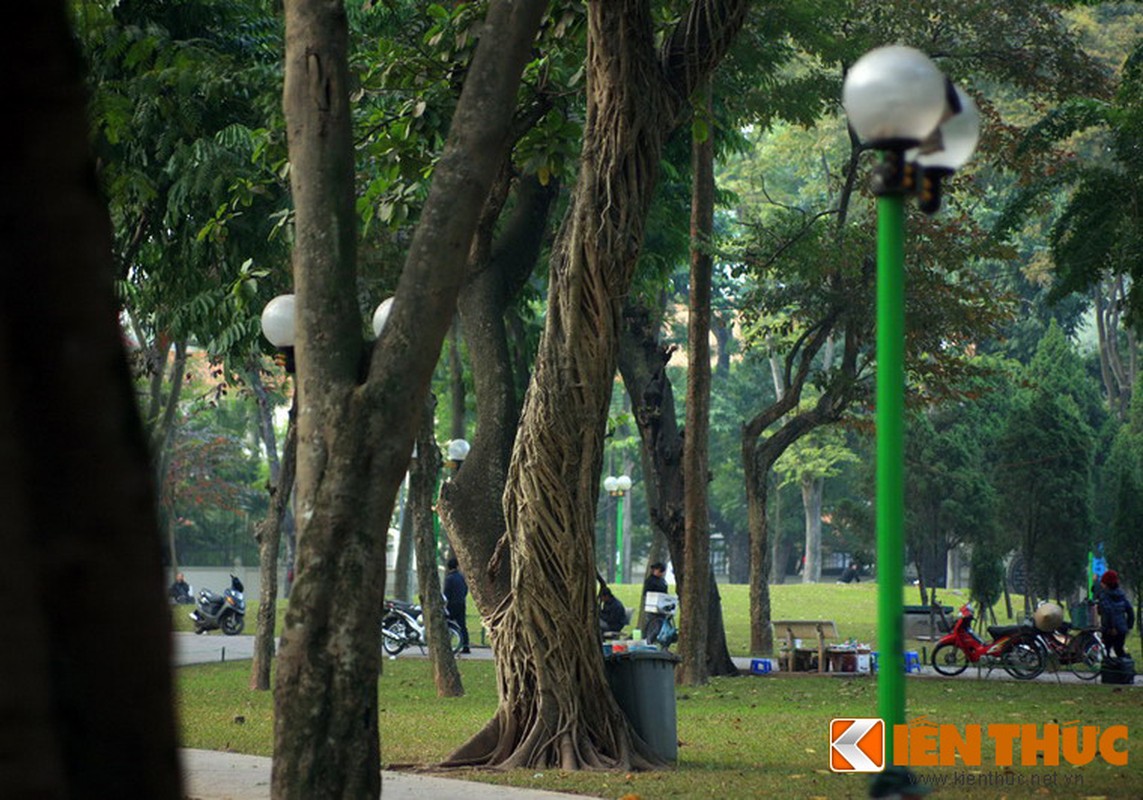 “Ma cay” bop co man ro giua ban ngay o Ha Noi-Hinh-4