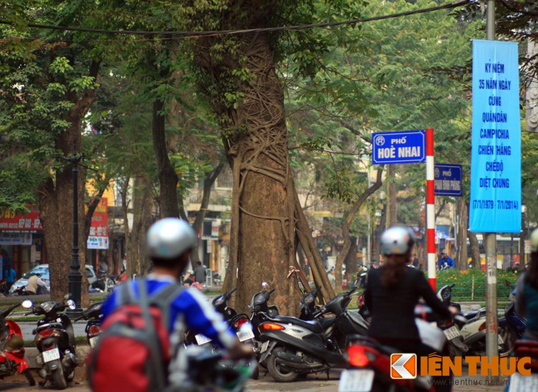 “Ma cay” bop co man ro giua ban ngay o Ha Noi-Hinh-6