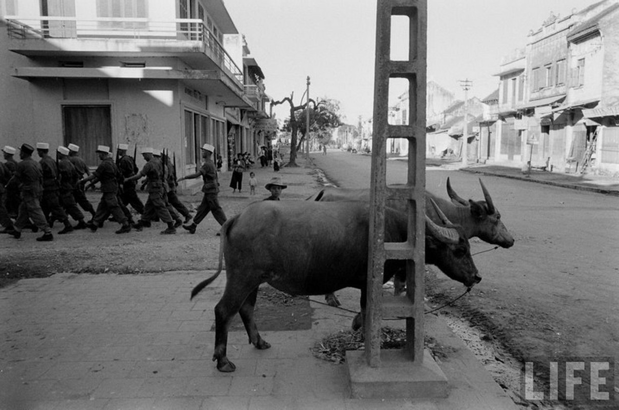 Anh doc: Linh Phap cuon co rut khoi Ha Noi 1954 the nao?-Hinh-10