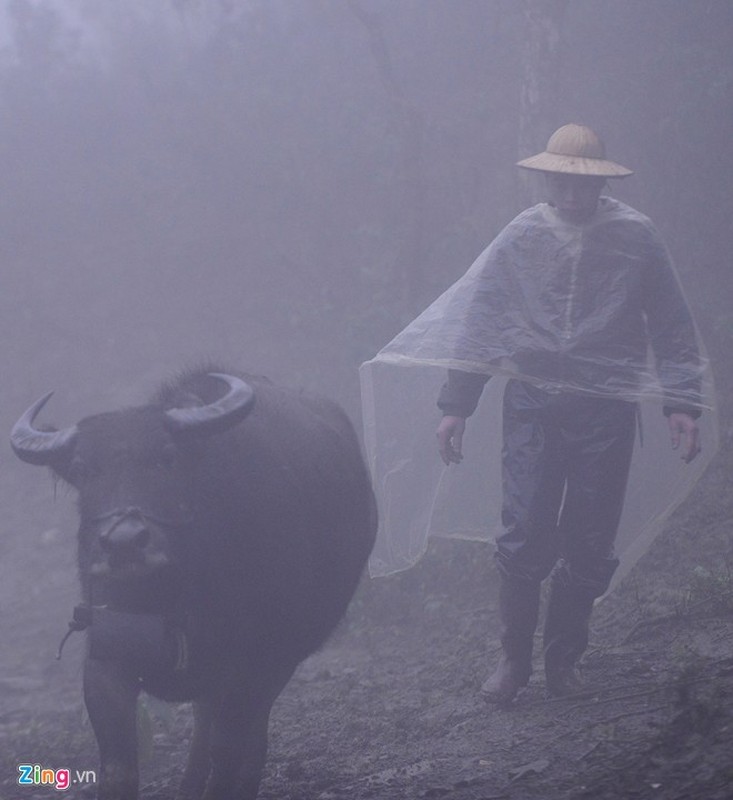 Canh nguoi dan Sa Pa vat va lua gia suc di tranh tuyet roi-Hinh-3