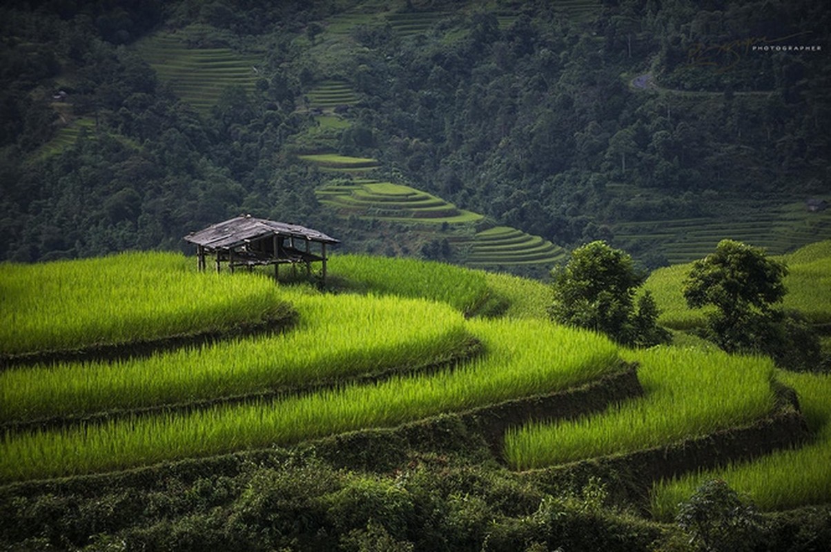 Bo anh Viet Nam tuyet dep tren Photography Life-Hinh-16