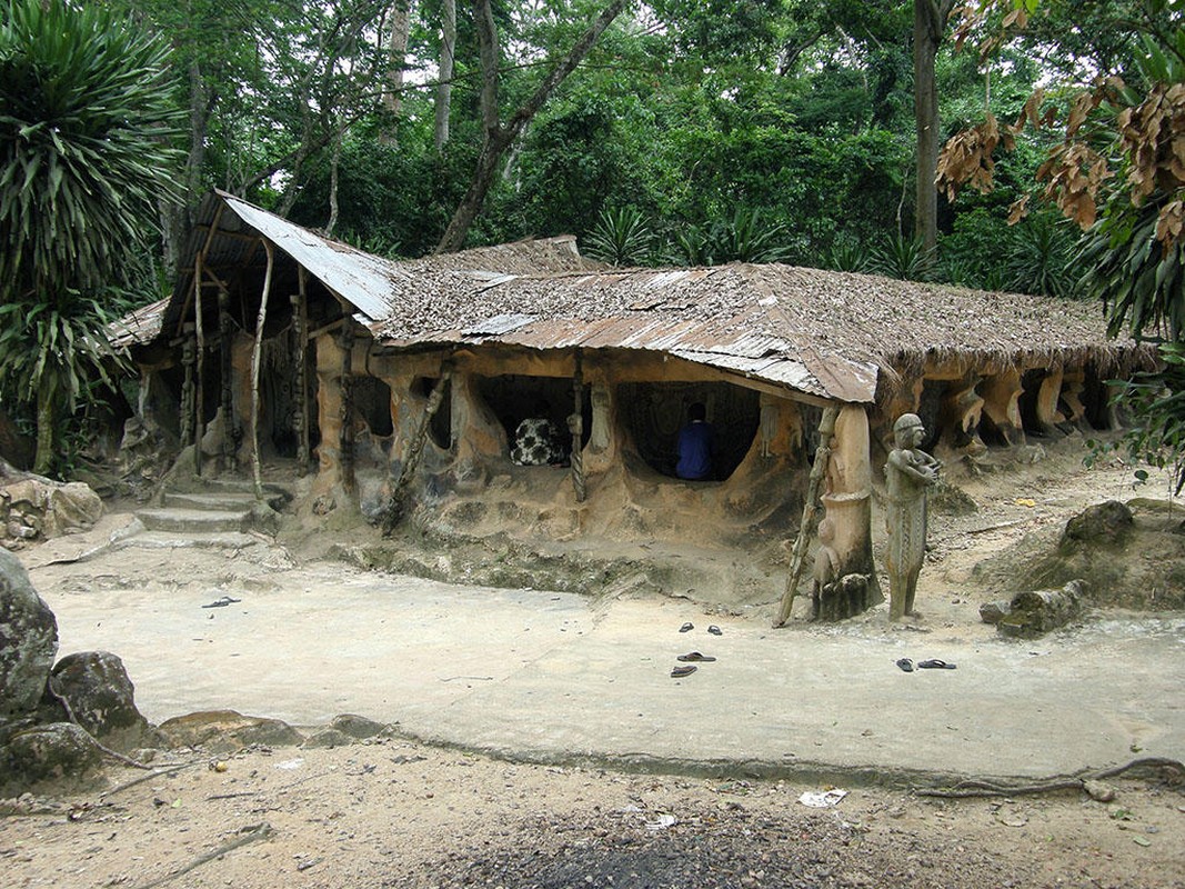 Lac vao khu rung thieng noi tieng nhat chau Phi-Hinh-2