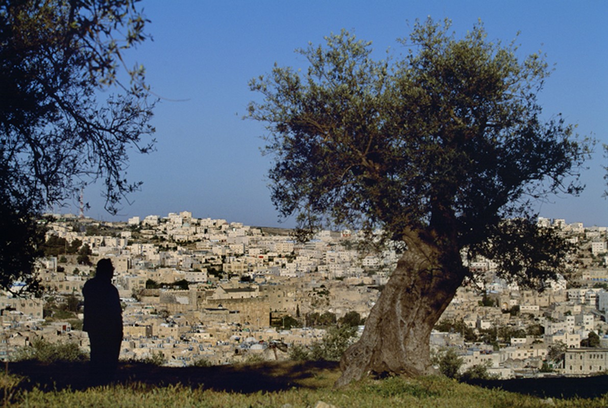 Image result for site:unesco.org Hebron