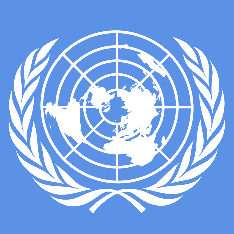 Image result for United Nations symbol