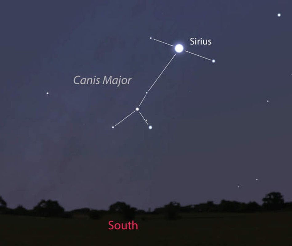 Image result for sirius