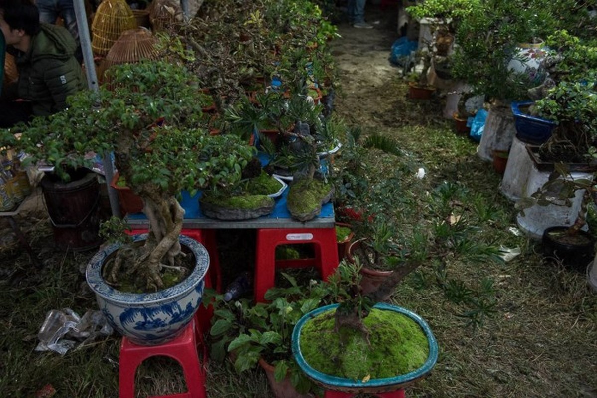 Chợ Viềng Nam Định ngày nay 'thập cẩm' bán - mua - Ảnh 15