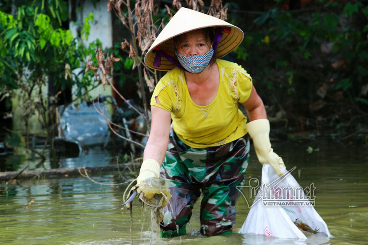 Ngap lut o Chuong My: Khon don rac tran vao nha-Hinh-2