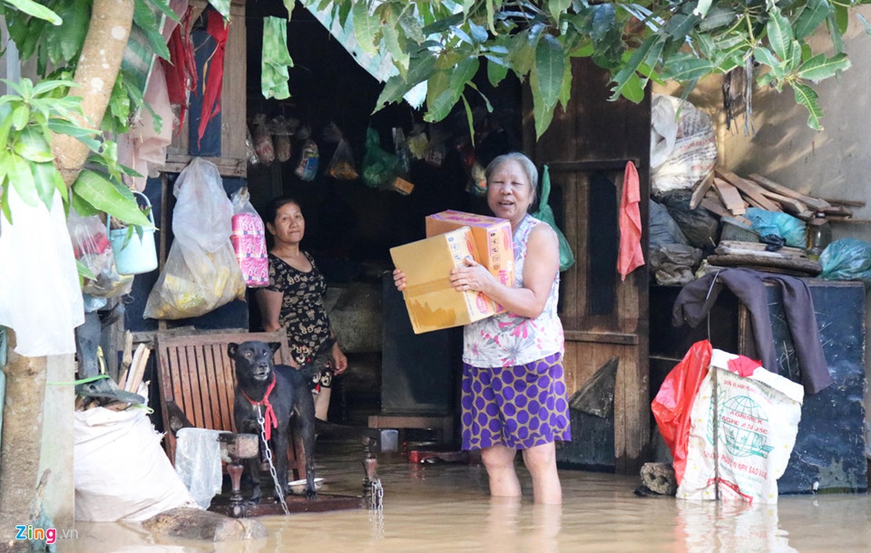 Nguoi dan xu Nghe gong minh doi pho voi lu lut keo dai-Hinh-10