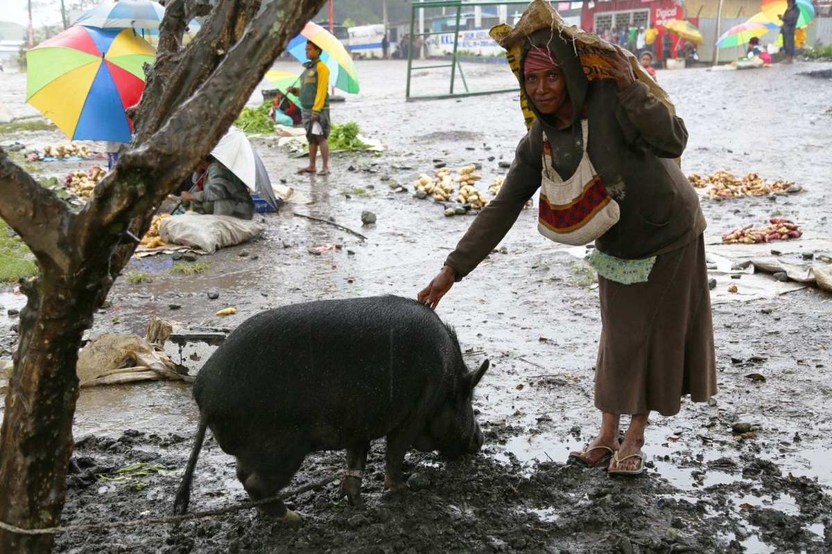 Vi sao nguoi Papua New Guinea cuc sung bai loai lon?