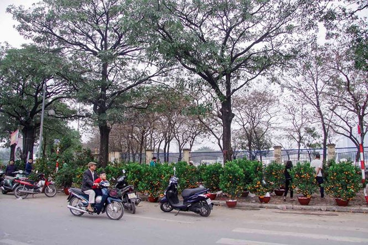 Quat, dao 'dai ha gia' tran ngap pho Ha Noi ngay 30 Tet-Hinh-3