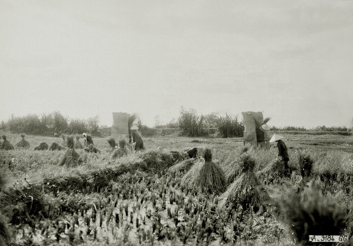 Anh khong dung hang ve Bien Hoa thap nien 1920-Hinh-9