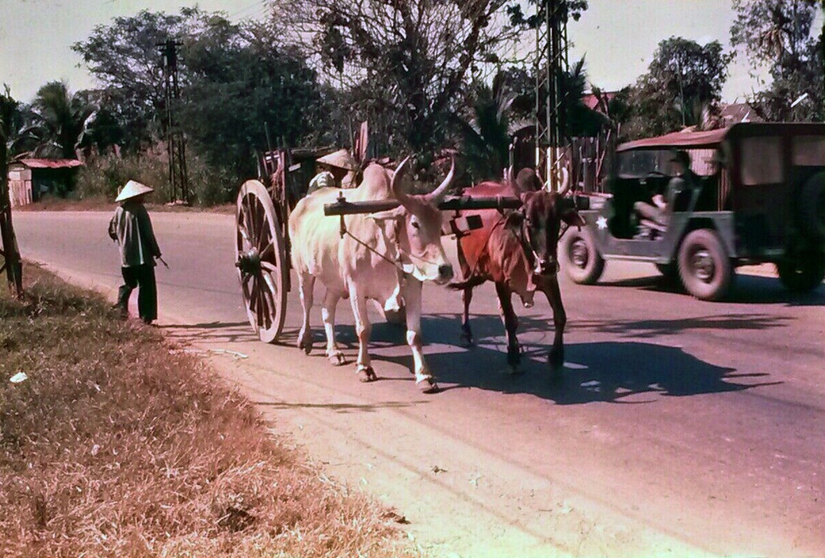 Goc anh dac biet ve Sai Gon thap nien 1960-Hinh-8