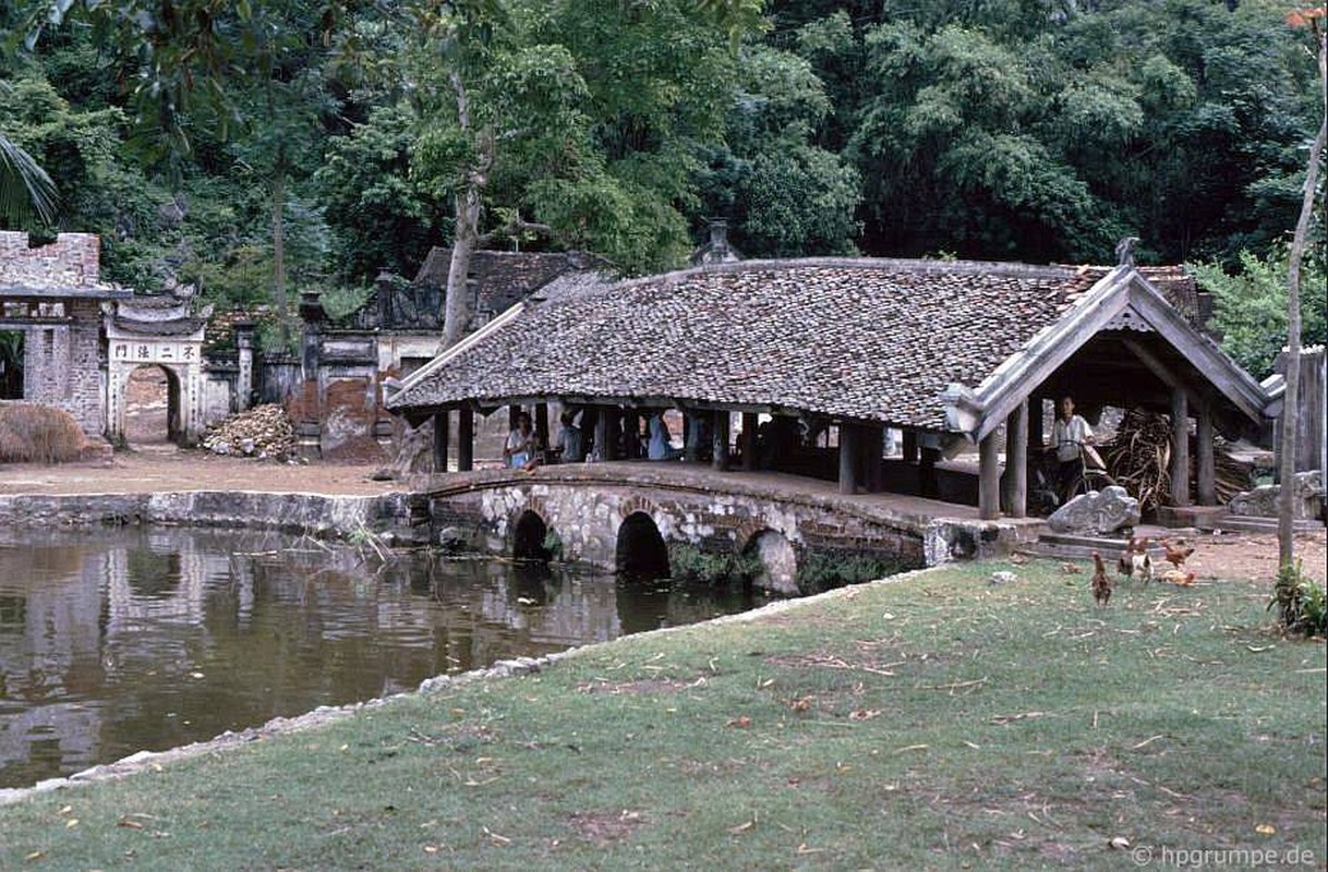 Hinh anh gay thuong nho ve chua Thay nam 1991-Hinh-3