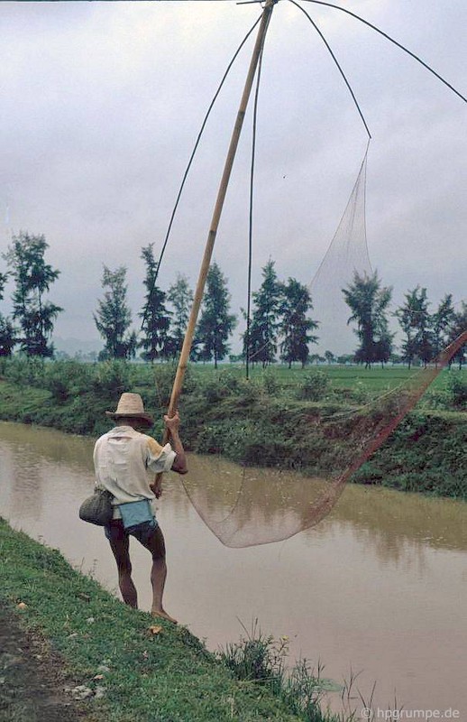 Hinh anh kho quen ve nong thon Ha Noi nam 1991-Hinh-3