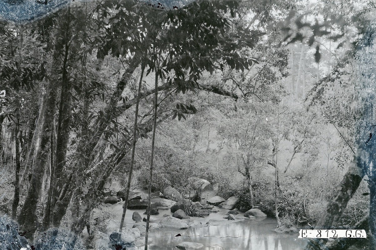 Lang ngam khung canh hoang so cua Da Lat thap nien 1920-Hinh-7