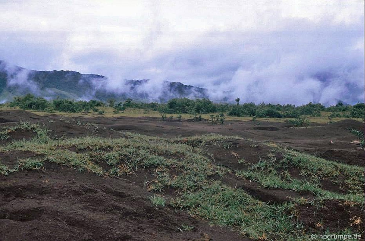 Kham pha bat ngo dieu dac biet o Khe Sanh nam 1992-Hinh-4