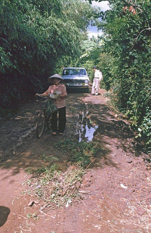 Kham pha dieu ly thu o dia dao Vinh Moc nam 1992-Hinh-2