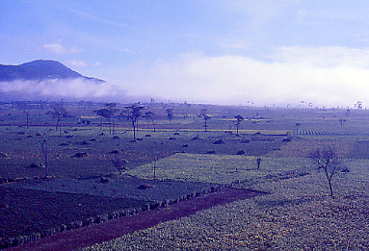 Cuc doc Bao Loc nam 1967 qua anh cua cuu binh My-Hinh-4