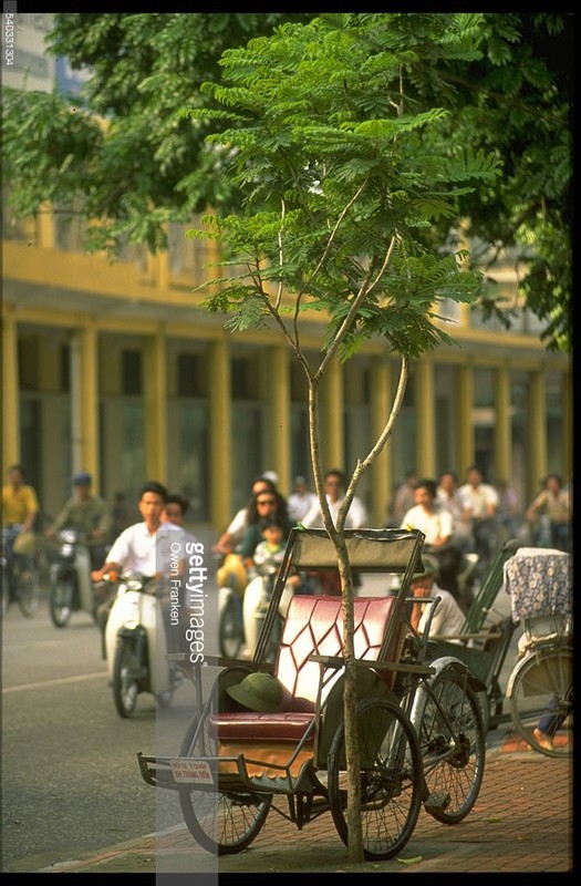 Cuc doc via he Viet Nam thap nien 1990 trong ong kinh Tay-Hinh-2